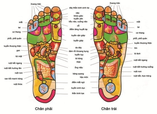 Máy massage chân có tác dụng gì? Công dụng của máy massage chân