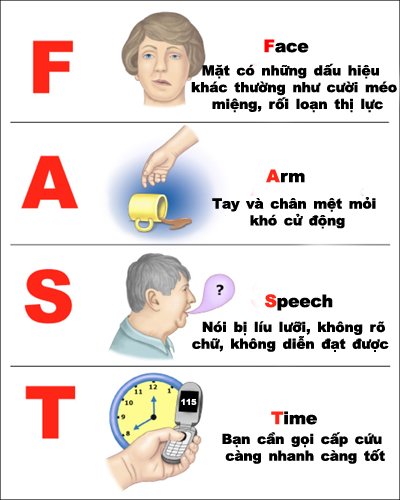Hasuta Việt Nam Chuyên cung cấp thiết bị chăm sóc sức khỏe tốt nhất việt nam