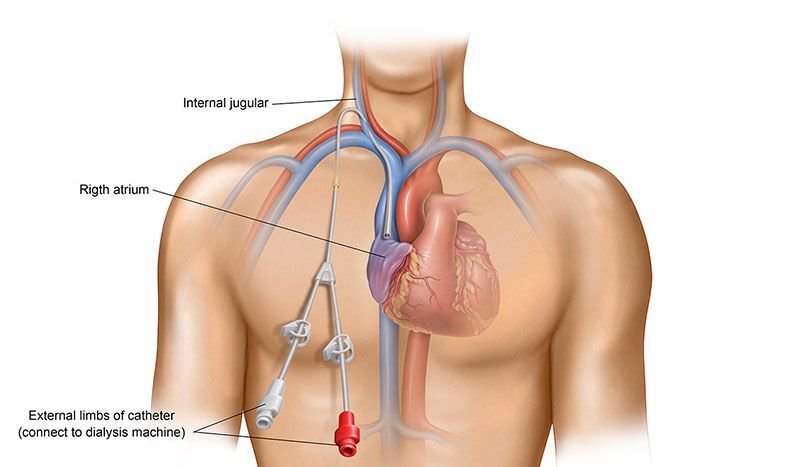 Hasuta Việt Nam Chuyên cung cấp thiết bị chăm sóc sức khỏe tốt nhất việt nam