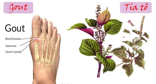Hasuta Việt Nam Chuyên cung cấp thiết bị chăm sóc sức khỏe tốt nhất việt nam