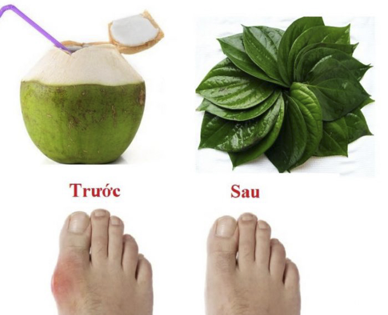 Hasuta Việt Nam Chuyên cung cấp thiết bị chăm sóc sức khỏe tốt nhất việt nam