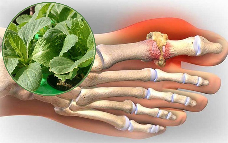 Hasuta Việt Nam Chuyên cung cấp thiết bị chăm sóc sức khỏe tốt nhất việt nam