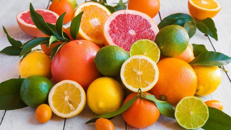 Hasuta Việt Nam Chuyên cung cấp thiết bị chăm sóc sức khỏe tốt nhất việt nam