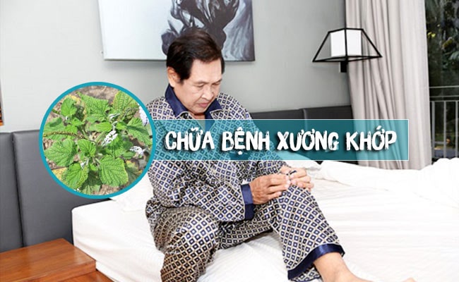 Hasuta Việt Nam Chuyên cung cấp thiết bị chăm sóc sức khỏe tốt nhất việt nam