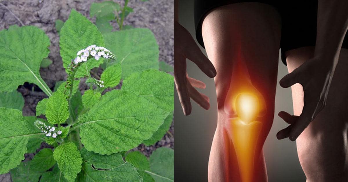Hasuta Việt Nam Chuyên cung cấp thiết bị chăm sóc sức khỏe tốt nhất việt nam