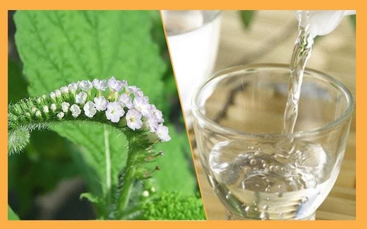 Hasuta Việt Nam Chuyên cung cấp thiết bị chăm sóc sức khỏe tốt nhất việt nam