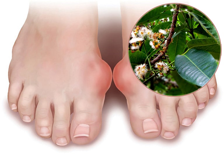 Hasuta Việt Nam Chuyên cung cấp thiết bị chăm sóc sức khỏe tốt nhất việt nam