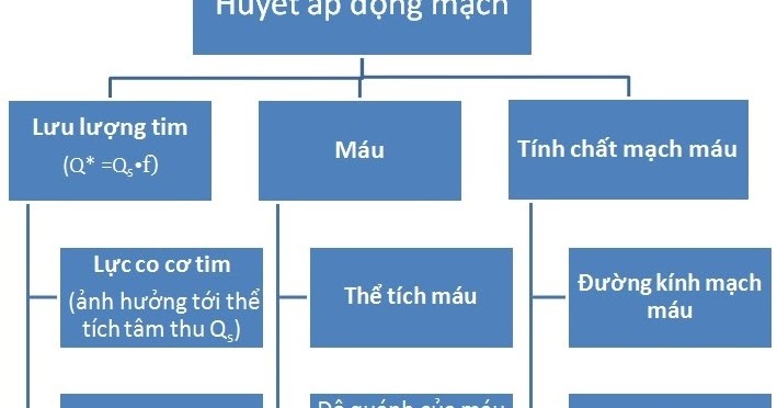 Hasuta Việt Nam Chuyên cung cấp thiết bị chăm sóc sức khỏe tốt nhất việt nam