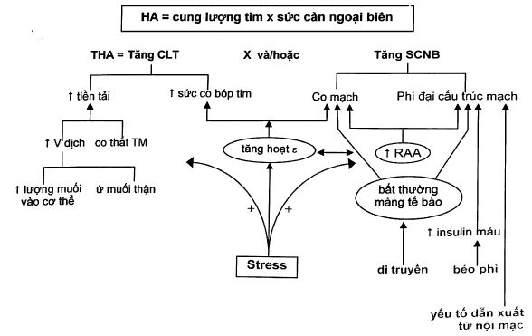 Hasuta Việt Nam Chuyên cung cấp thiết bị chăm sóc sức khỏe tốt nhất việt nam