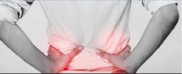 Hasuta Việt Nam Chuyên cung cấp thiết bị chăm sóc sức khỏe tốt nhất việt nam