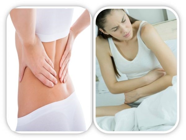 Hasuta Việt Nam Chuyên cung cấp thiết bị chăm sóc sức khỏe tốt nhất việt nam