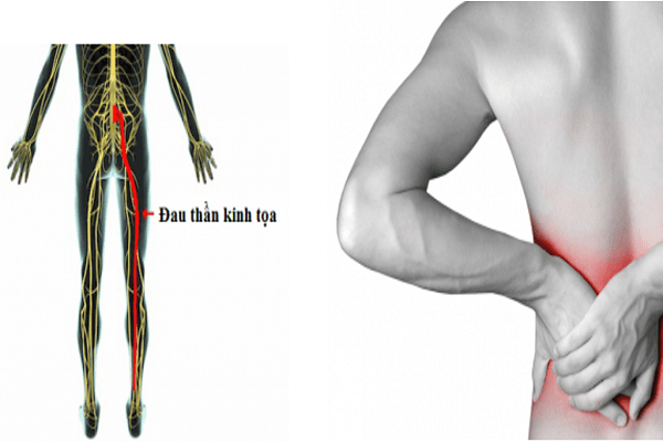 Hasuta Việt Nam Chuyên cung cấp thiết bị chăm sóc sức khỏe tốt nhất việt nam