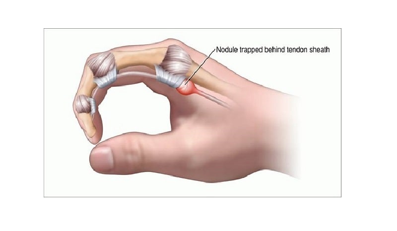 Hasuta Việt Nam Chuyên cung cấp thiết bị chăm sóc sức khỏe tốt nhất việt nam