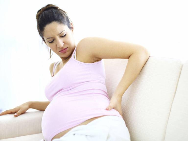 Hasuta Việt Nam Chuyên cung cấp thiết bị chăm sóc sức khỏe tốt nhất việt nam