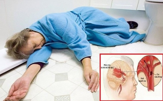 Hasuta Việt Nam Chuyên cung cấp thiết bị chăm sóc sức khỏe tốt nhất việt nam