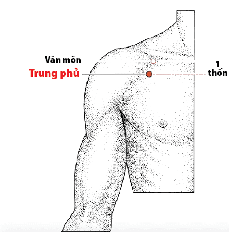 Hasuta Việt Nam Chuyên cung cấp thiết bị chăm sóc sức khỏe tốt nhất việt nam