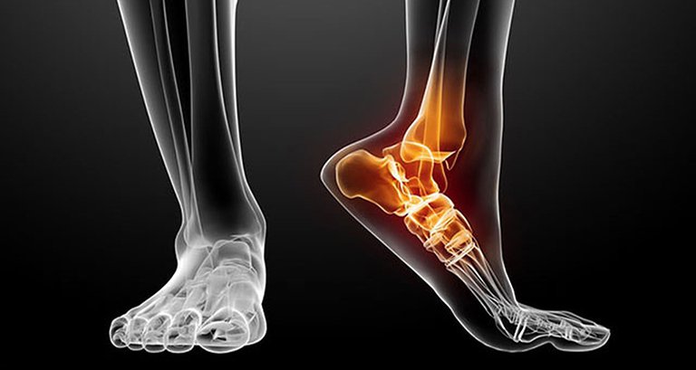 Hasuta Việt Nam Chuyên cung cấp thiết bị chăm sóc sức khỏe tốt nhất việt nam