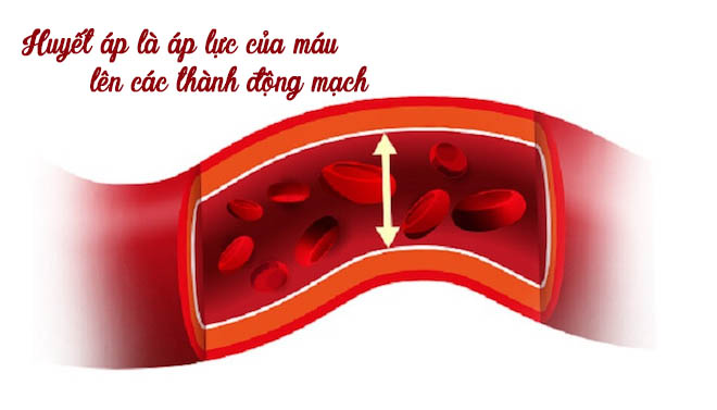 Hasuta Việt Nam Chuyên cung cấp thiết bị chăm sóc sức khỏe tốt nhất việt nam