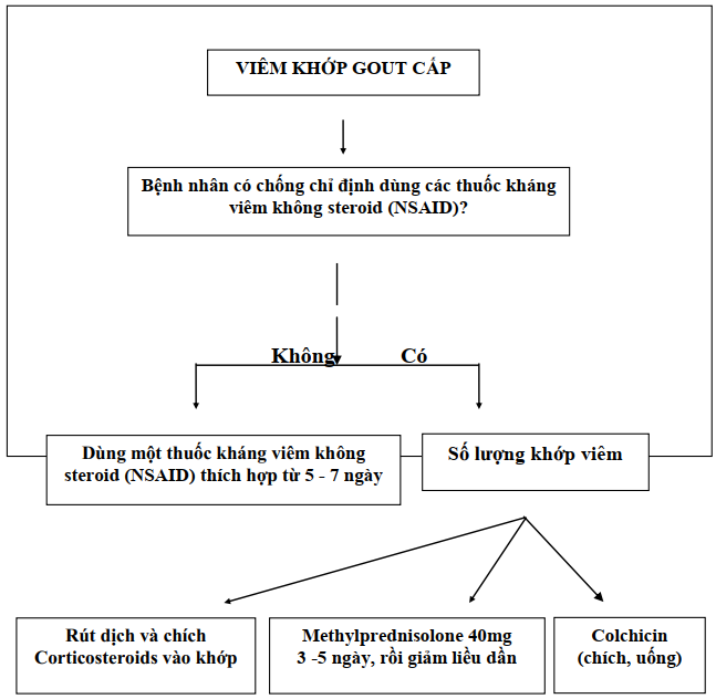 Hasuta Việt Nam Chuyên cung cấp thiết bị chăm sóc sức khỏe tốt nhất việt nam