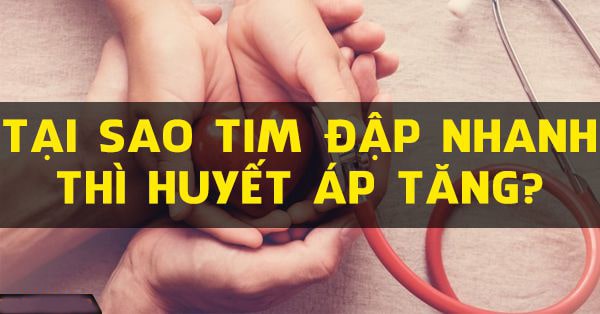 Hasuta Việt Nam Chuyên cung cấp thiết bị chăm sóc sức khỏe tốt nhất việt nam