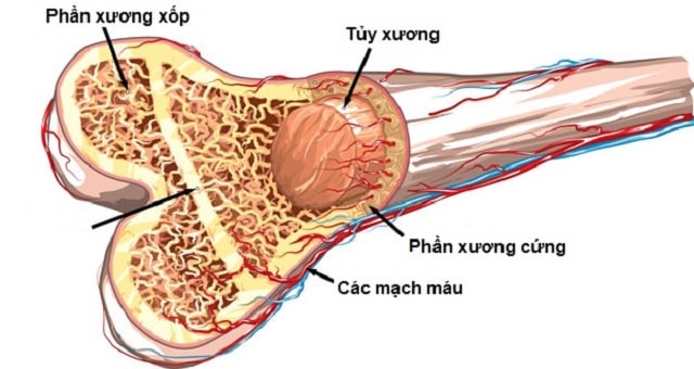 Hasuta Việt Nam Chuyên cung cấp thiết bị chăm sóc sức khỏe tốt nhất việt nam