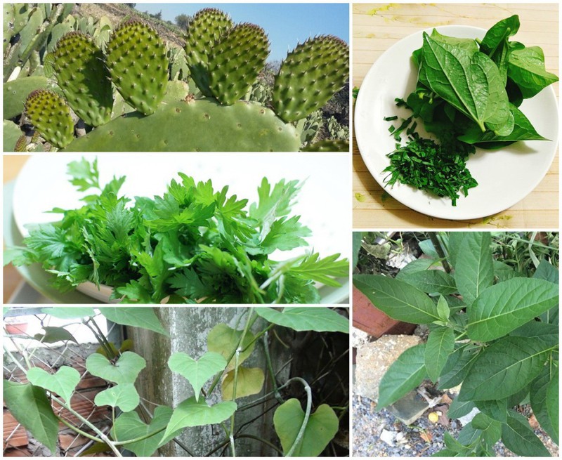 Hasuta Việt Nam Chuyên cung cấp thiết bị chăm sóc sức khỏe tốt nhất việt nam
