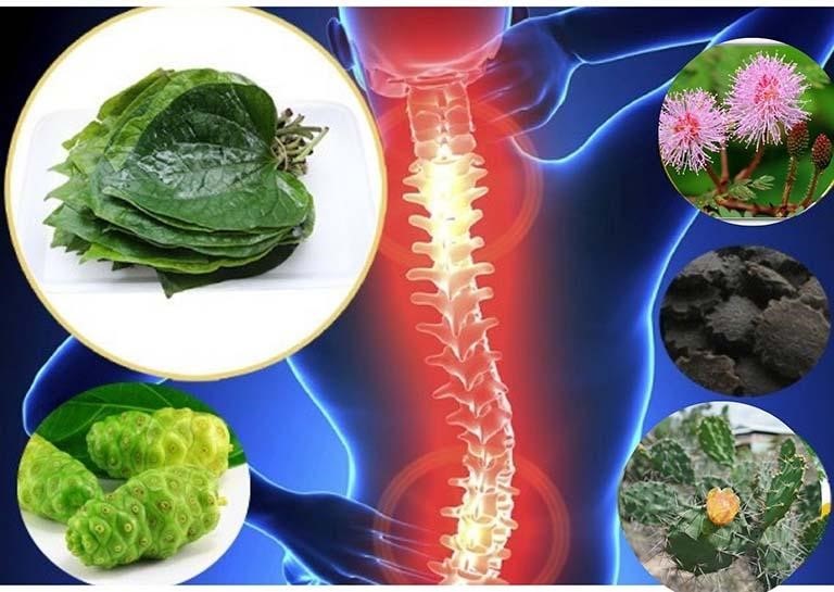 Hasuta Việt Nam Chuyên cung cấp thiết bị chăm sóc sức khỏe tốt nhất việt nam