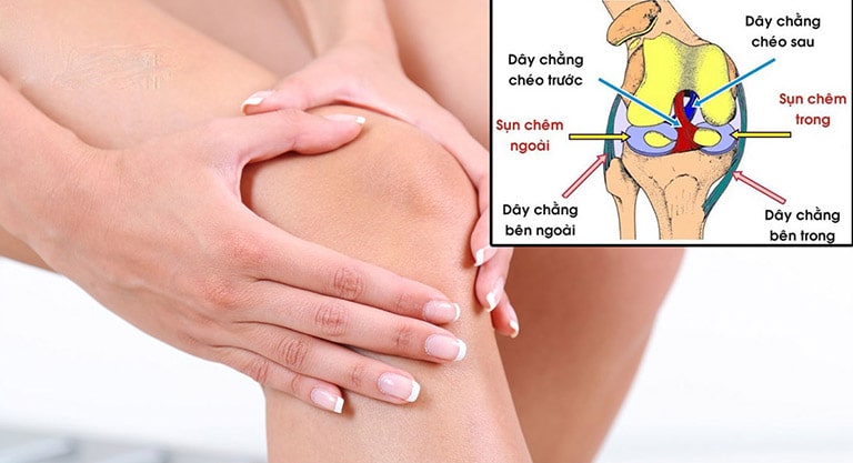 Hasuta Việt Nam Chuyên cung cấp thiết bị chăm sóc sức khỏe tốt nhất việt nam