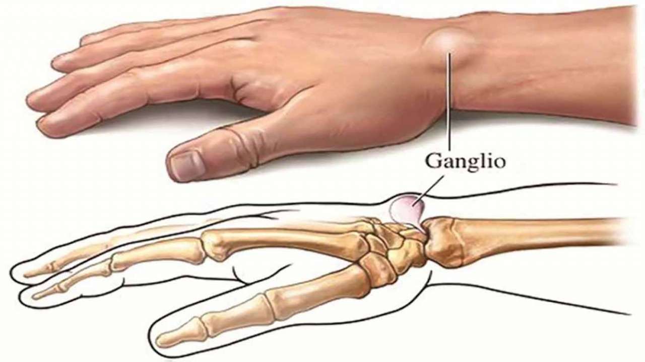 Hasuta Việt Nam Chuyên cung cấp thiết bị chăm sóc sức khỏe tốt nhất việt nam