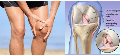Hasuta Việt Nam Chuyên cung cấp thiết bị chăm sóc sức khỏe tốt nhất việt nam